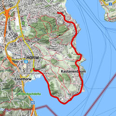 Horwer Halbinsel, Regen, Rückenschmerzen, Rocco getroffen