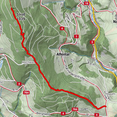 Naas, Steiermark/Österreich