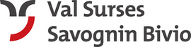 Logotip Savognin