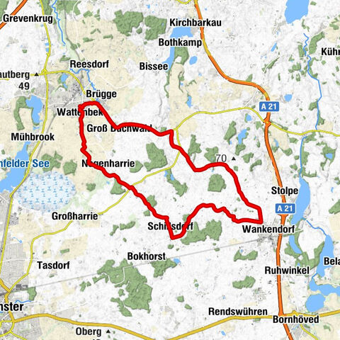 Schönhagenrunde bei 10 Grad