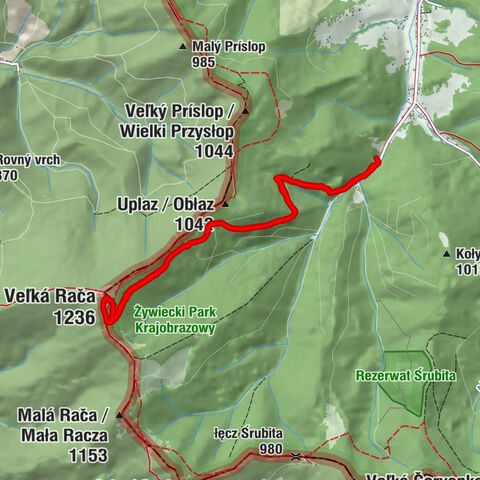 Rajcza Piesze wędrówki
