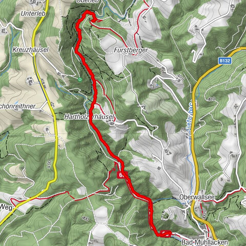 Feldkirchen an der Donau, Oberösterreich/Österreich