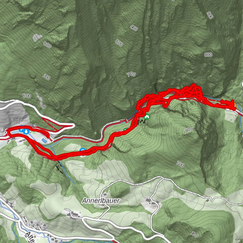 Landl, Steiermark/Österreich