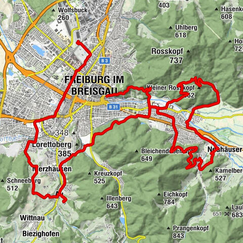 Freiburg im Breisgau, Baden-Württemberg/Deutschland