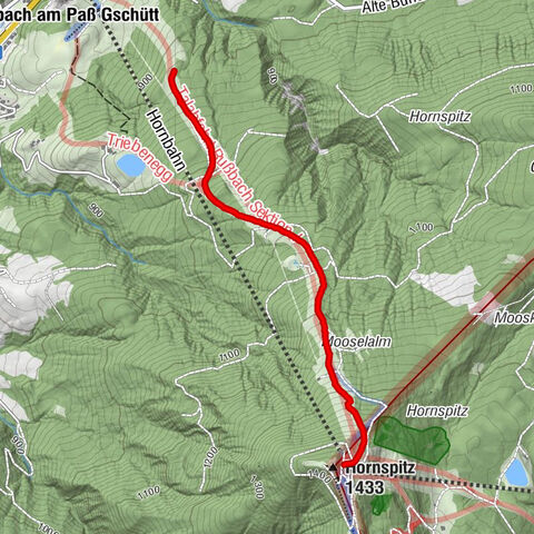 Rußbach am Paß Gschütt, Salzburg/Österreich