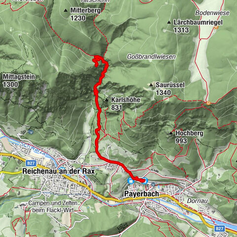 Reichenau an der Rax, Niederösterreich/Österreich
