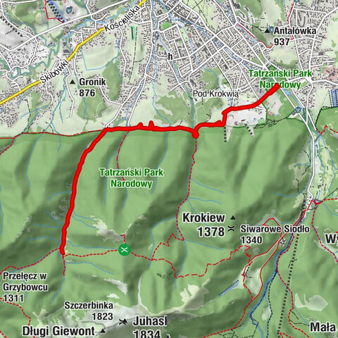 Zakopane, województwo małopolskie/Polska