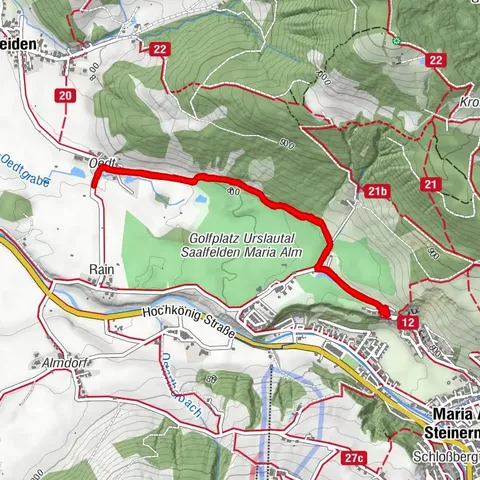 Saalfelden am Steinernen Meer, Salzburg/Österreich