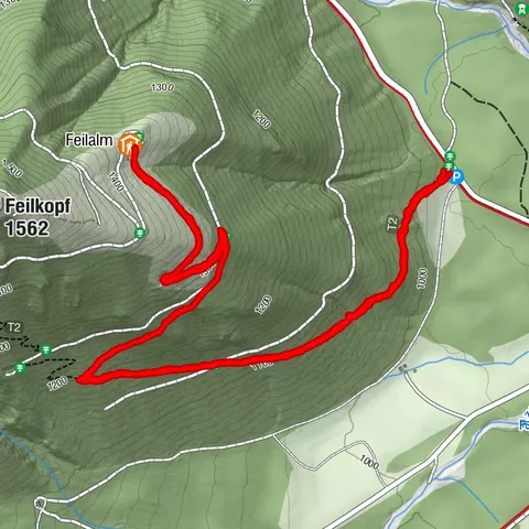 Feilalm
