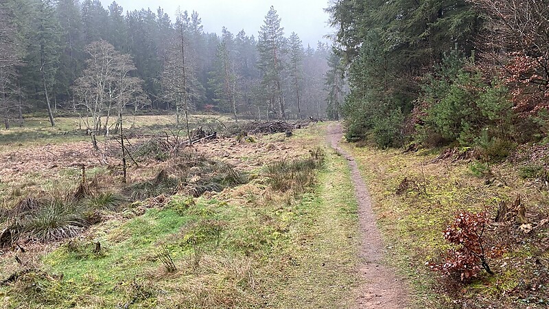 Zemljevid