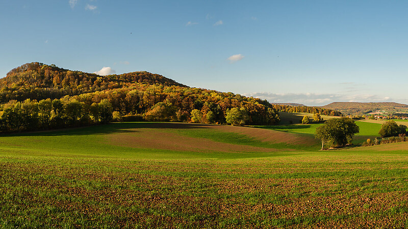 Zemljevid