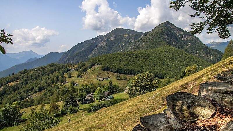Zemljevid
