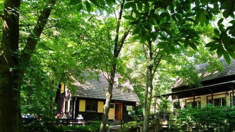 Zemljevid