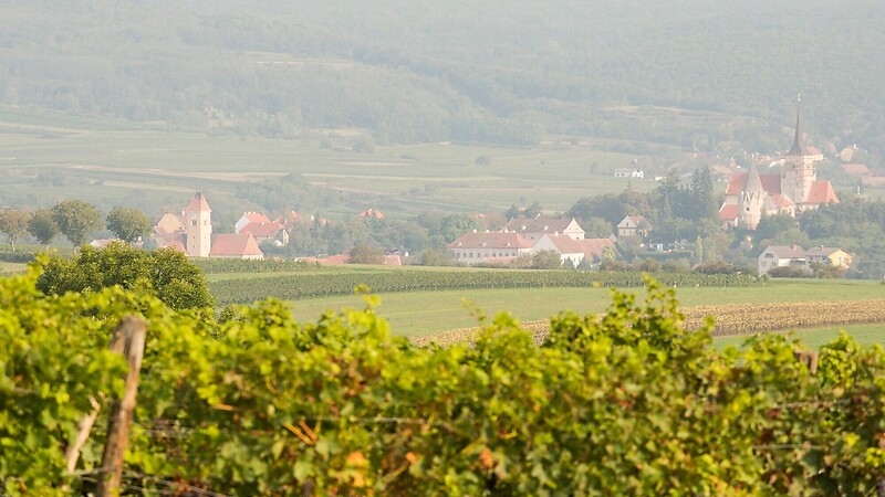 Zemljevid