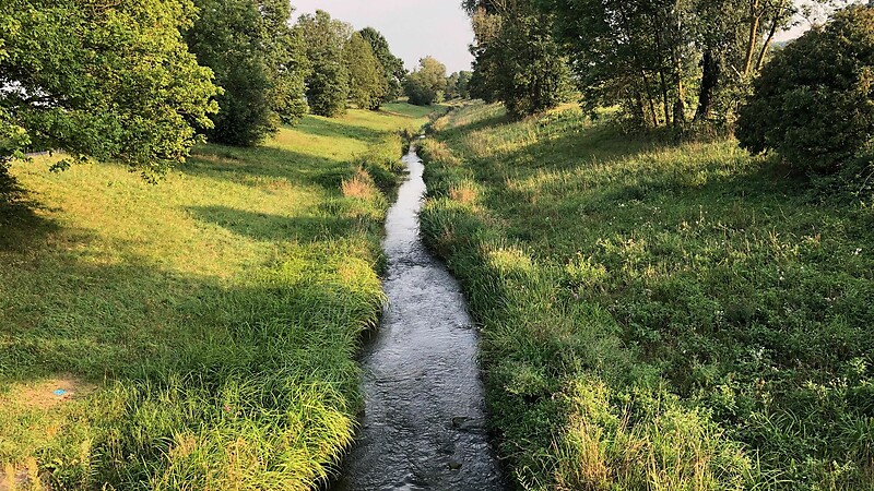 Zemljevid