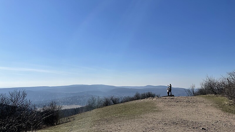 Zemljevid