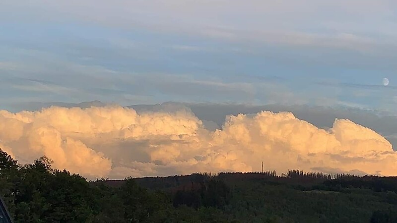 Zemljevid