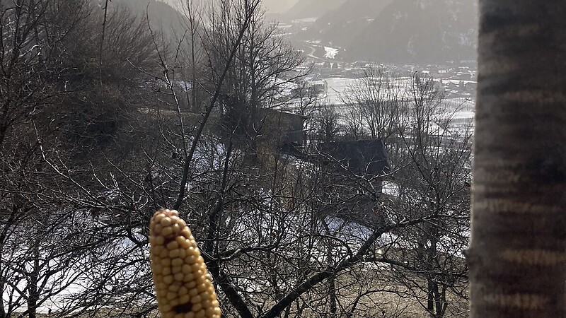 Zemljevid