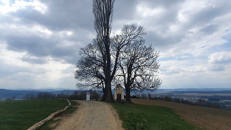 Zemljevid