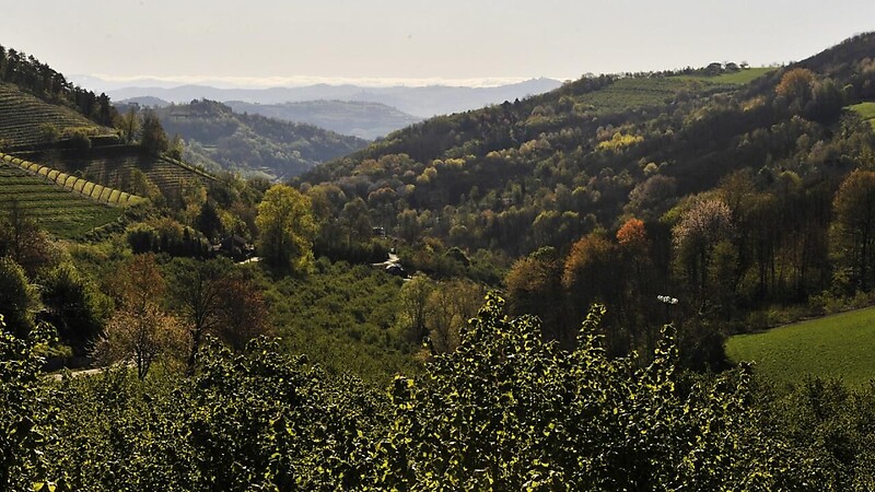 Zemljevid