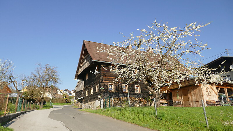 Zemljevid
