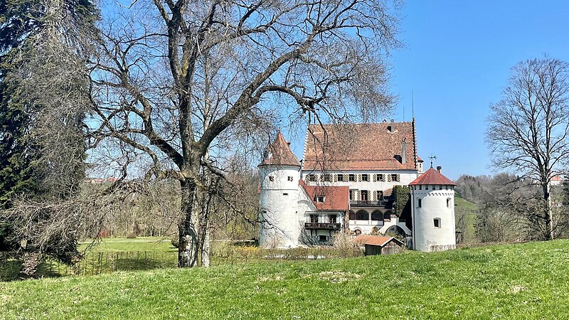 Zemljevid