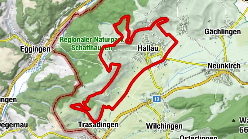 Hallauer Galopp