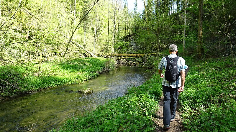 Zemljevid