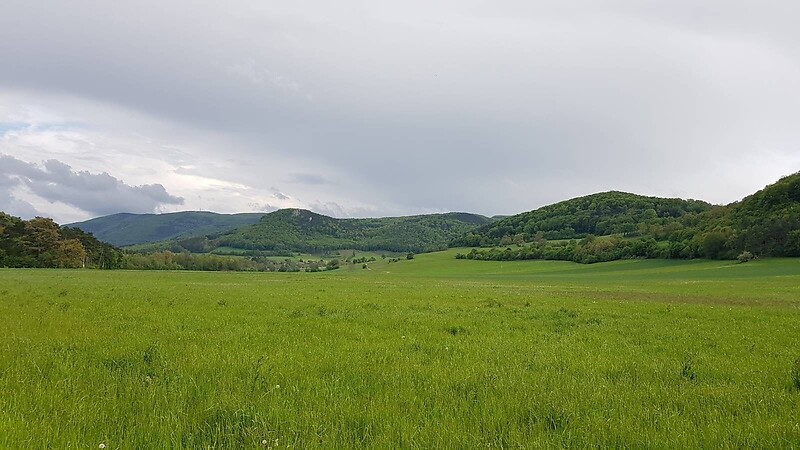 Zemljevid