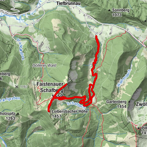Zemljevid
