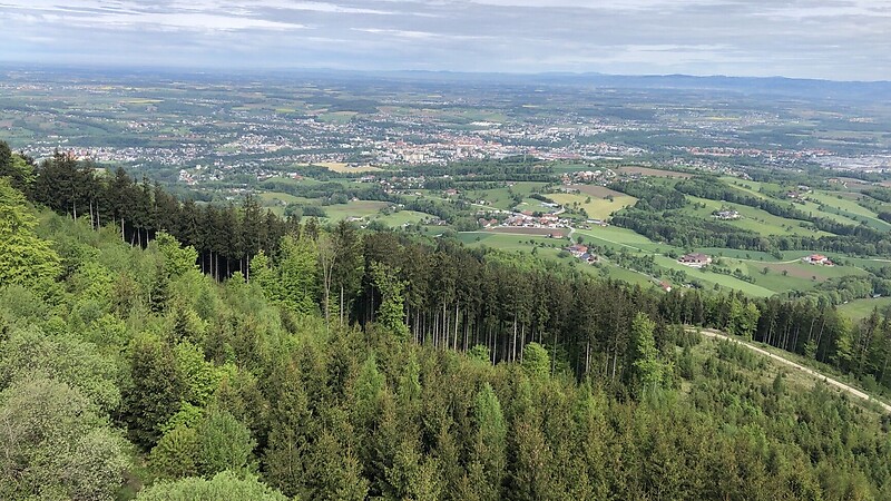 Zemljevid