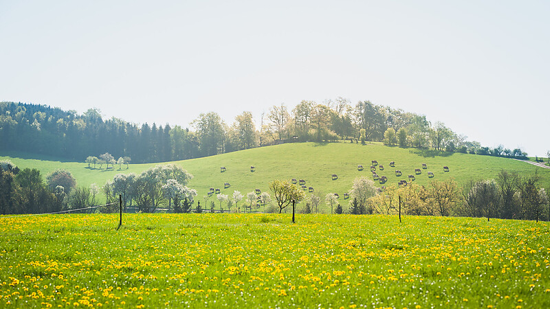 Zemljevid