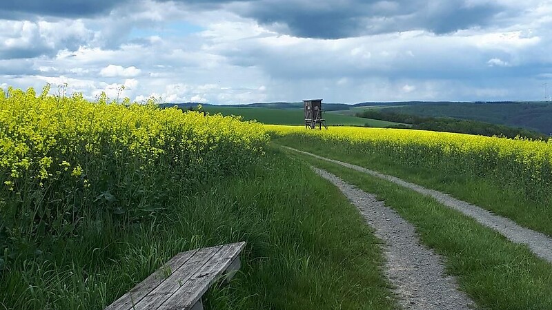 Zemljevid