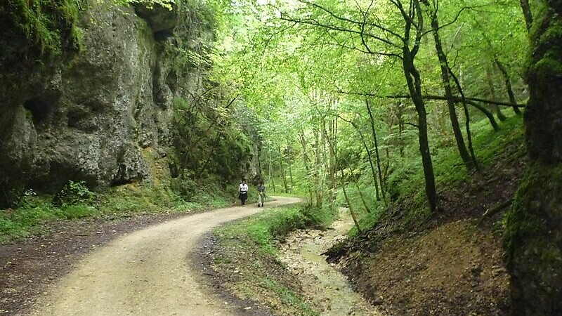 Zemljevid