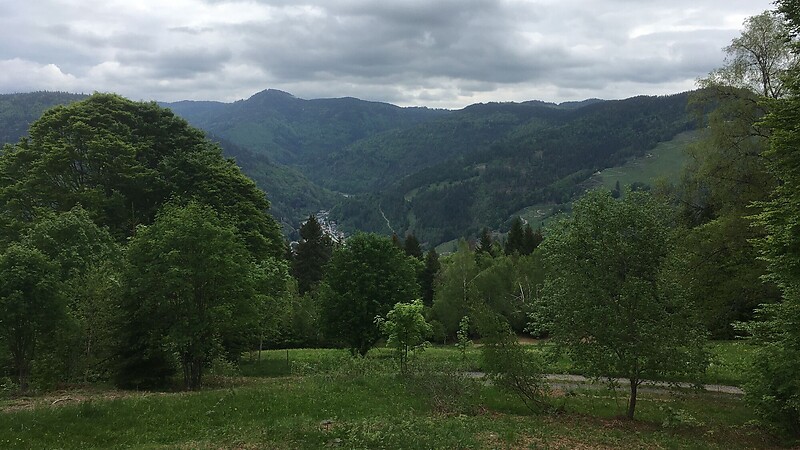 Zemljevid