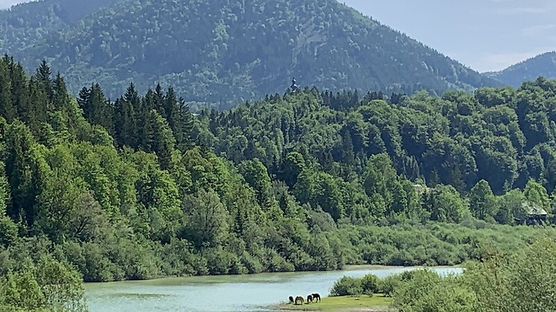 Zemljevid