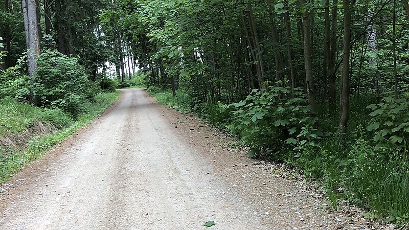 Zemljevid
