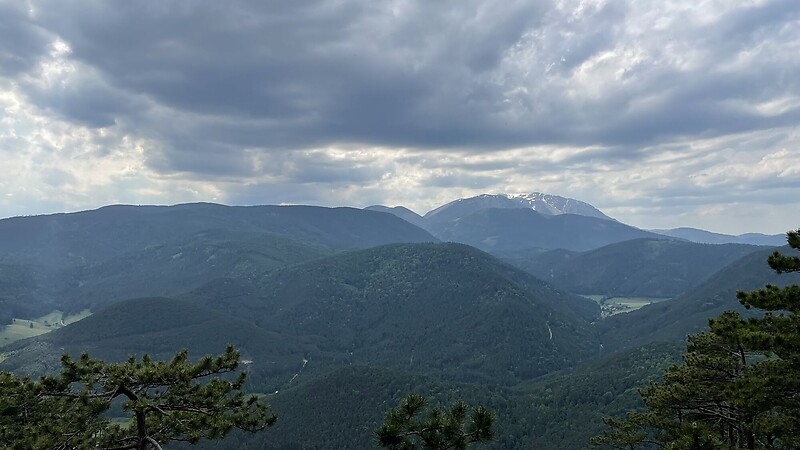 Zemljevid