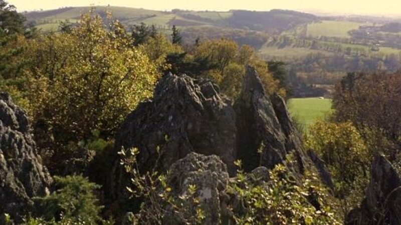 Zemljevid