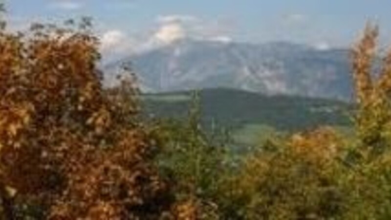 Zemljevid