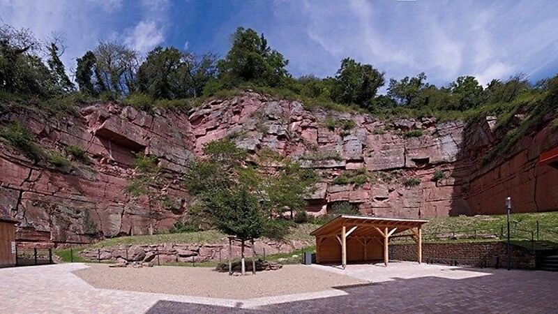 Zemljevid