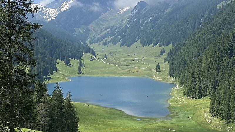 Zemljevid