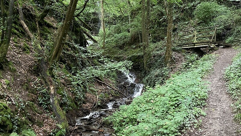 Zemljevid