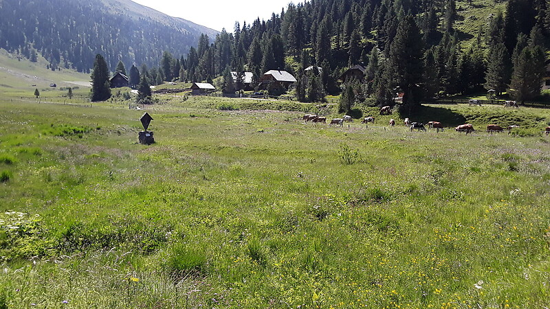 Zemljevid