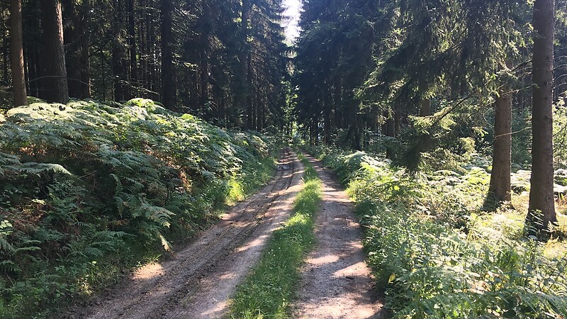 Zemljevid