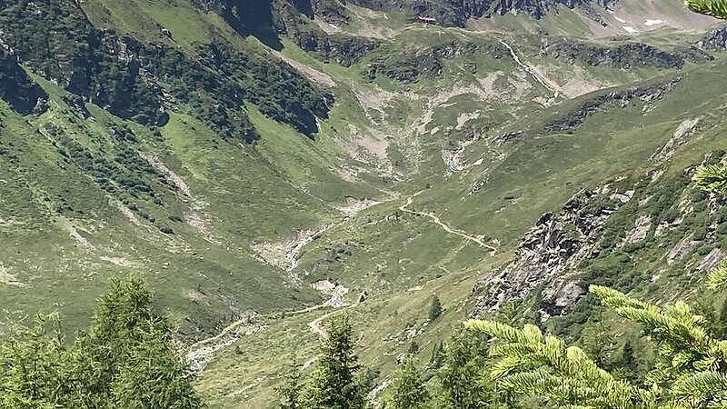 Zemljevid