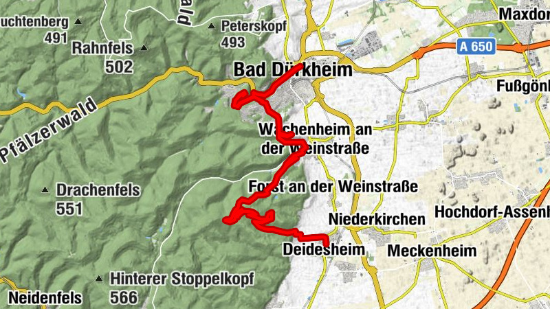 Deidesheim - Eckkopf