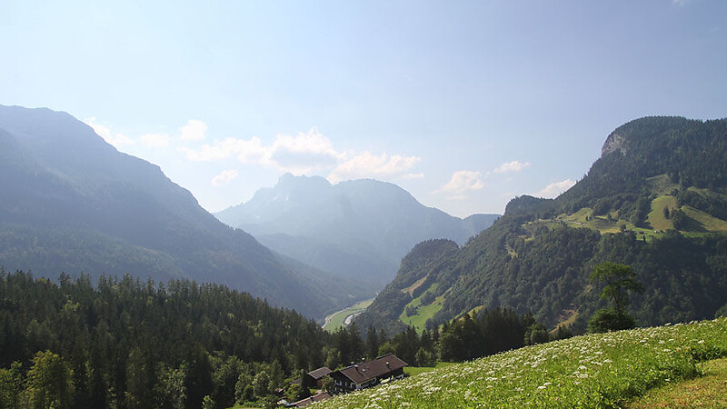 Zemljevid