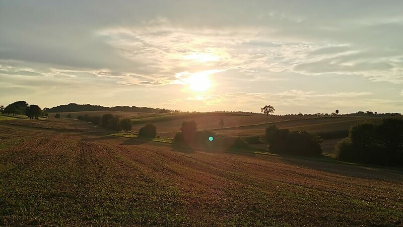 Zemljevid