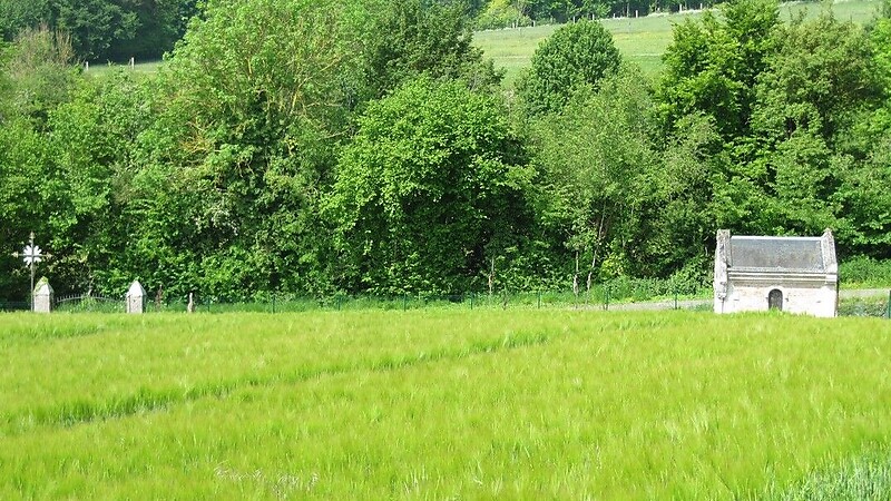 Zemljevid
